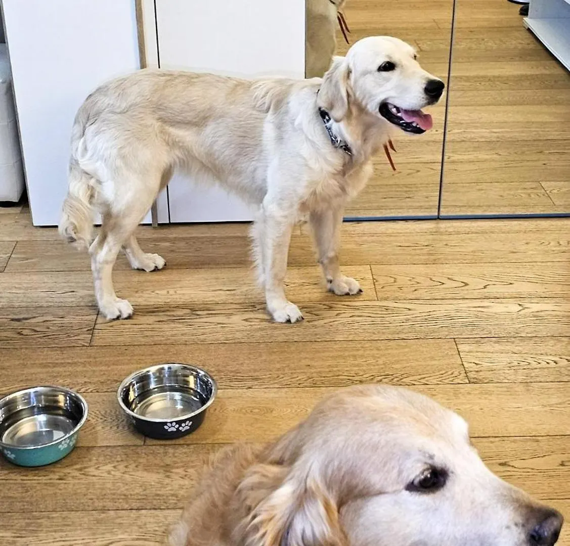 밀라노 Sunny'S House 아파트 0*,  이탈리아